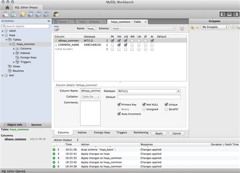 Toradh íomhá ar Workh Bench MySQL Basic Programme