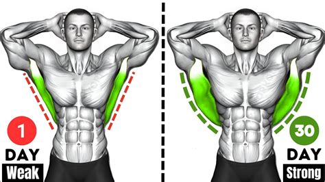 Image result for Build a Wider Back