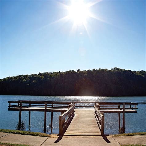 God-given Vision に対する画像結果