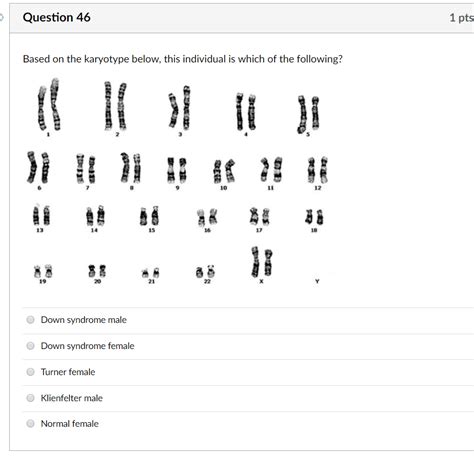 Image result for Chat Bot UI React Native