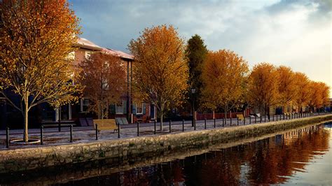 Image result for Modeling Trees