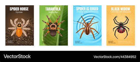 Afbeeldingsresultaten voor Realistic Spider Print