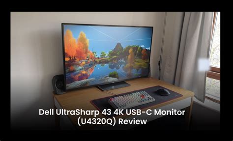 Toradh íomhá ar 43 Computer Monitor