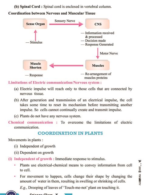 Toradh íomhá ar Class 10 It Important Questions Python