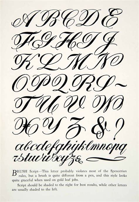 Image result for Cursive Calligraphy Alphabet