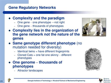 Toradh íomhá ar Complexity Simplified
