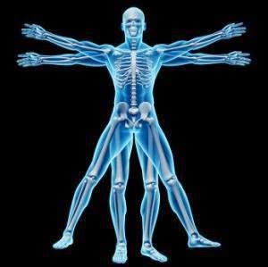 Afbeeldingsresultaten voor Human-Made Animal Logo