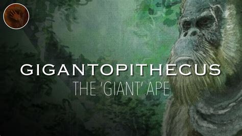 Toradh íomhá ar Gigantopithecus Documentary