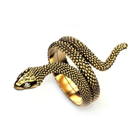 Image result for Python Ring