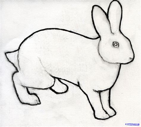 Image result for Draw a Rabbit