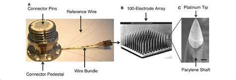 Utah Microelectrode Array に対する画像結果