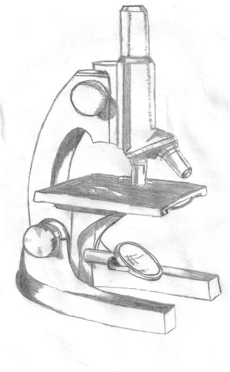 Image result for Compound Microscope with Creator