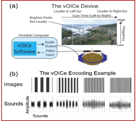 What Is Encoding In-Camera に対する画像結果