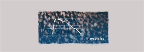 Image result for Ror Assessment QLD Graph