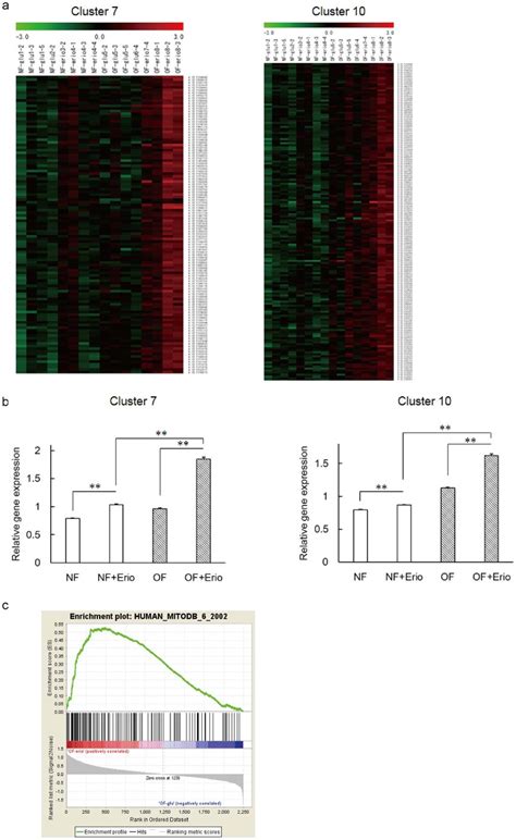 Image result for Microarray Analysis Bidirectional Replication