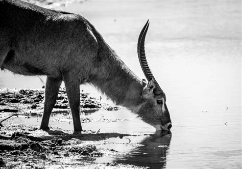 Image result for Structured Streaming of Delta Table in Databricks