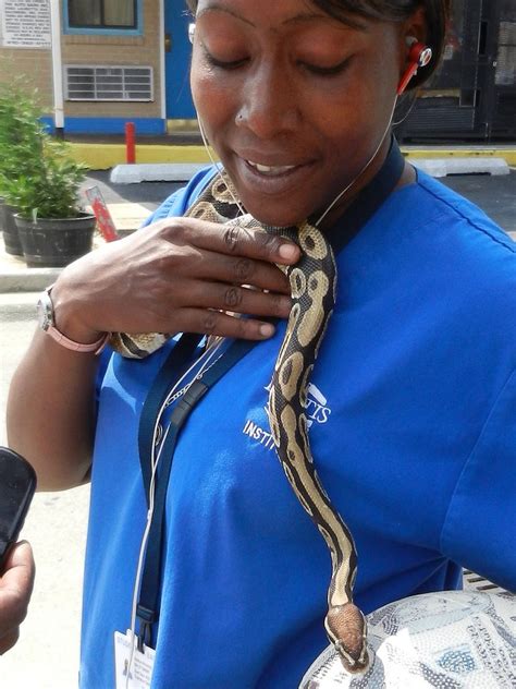 Image result for Live Snakes and Women