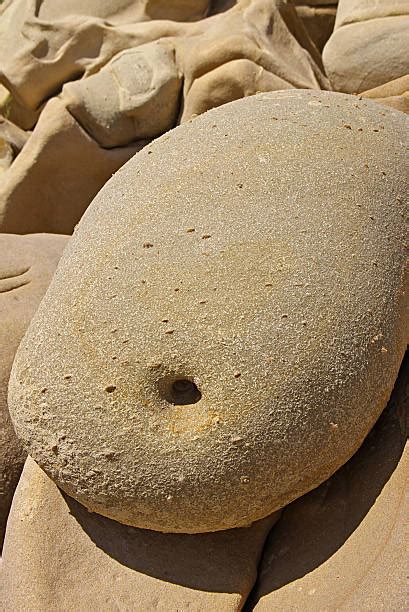 Afbeeldingsresultaten voor Weird Belly Button