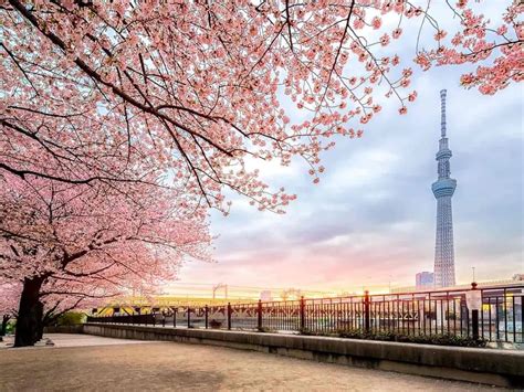 Image result for Security Code at Hop Card