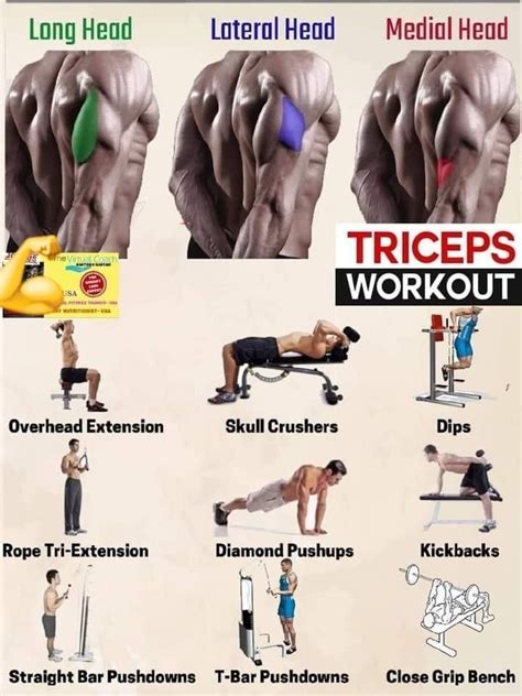 Image result for Good Tricep Workouts