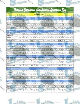 Toradh íomhá ar Protein Synthesis Worksheet Answer Key Back
