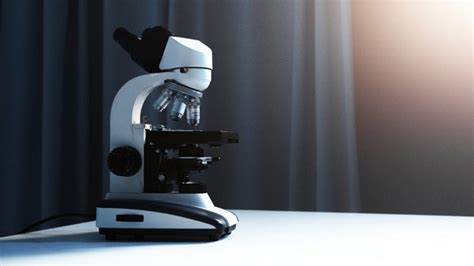 Image result for First Microscope Anatomy