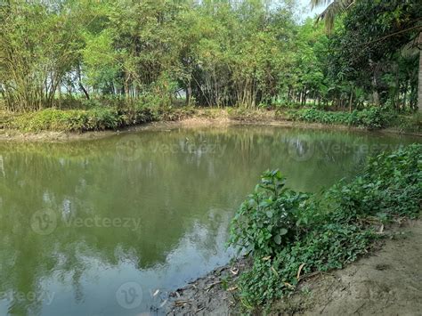 Image result for Champakasarasi Pond