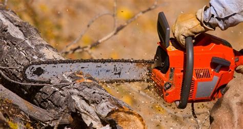 Afbeeldingsresultaten voor Chainsaw Lessons