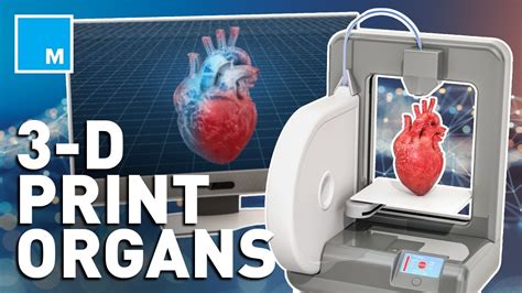 Toradh íomhá ar 3D Printer Medical Organs