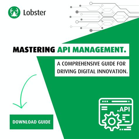 Image result for Lobster Middleware