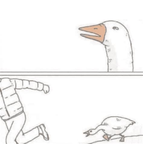 Afbeeldingsresultaten voor Data Science Goose Meme