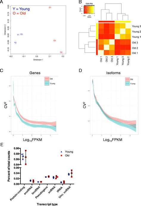 Image result for Stochastic Theory of Aging Diagram