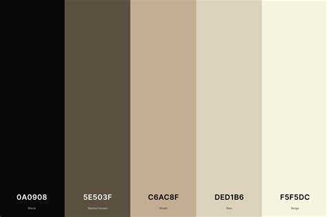 25+ Best Beige Color Palettes with Names and Hex Codes – CreativeBooster
