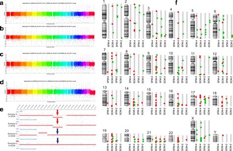 Image result for Array-Based Comparative Genomic Hybridization