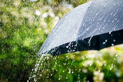 Image result for Rain Cycle