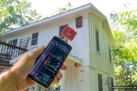 Image result for UK Bat Detector App