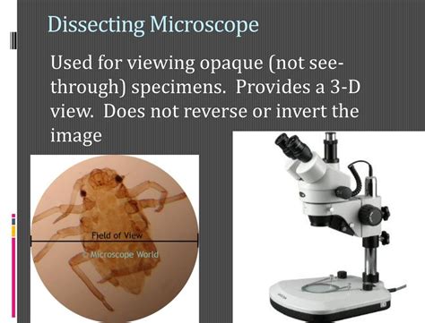 Image result for Dissectiong Microscope