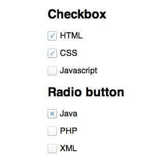 Image result for Radio Checkbox HTML Practise