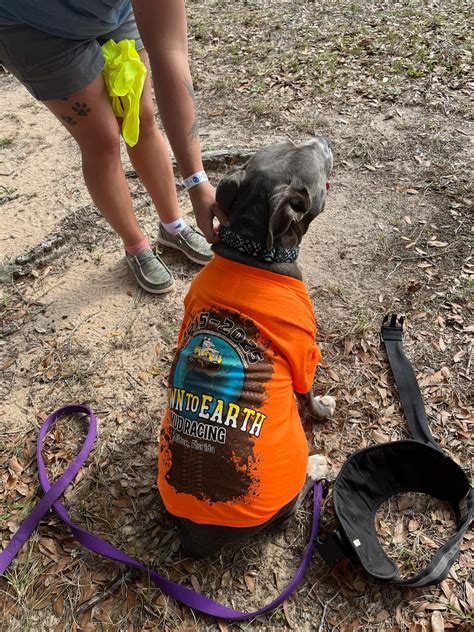 Mud Races in Milton Florida に対する画像結果