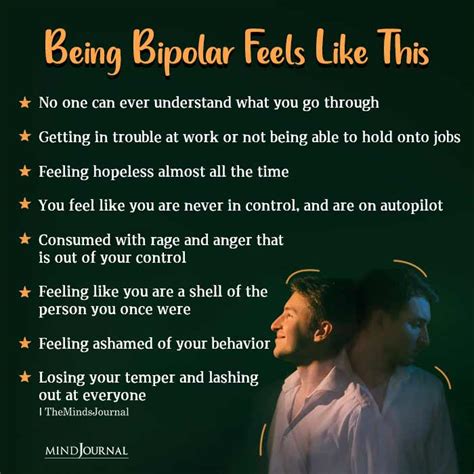 Image result for Understanding Bipolar