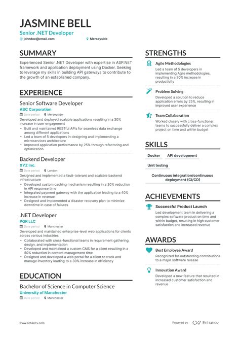 Senior Developer Resume Examples に対する画像結果