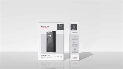 Image result for SanDisk Professional