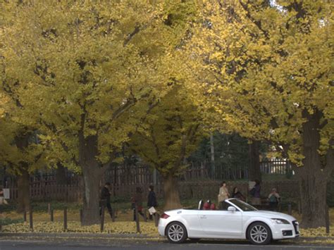 Audi Open Roof に対する画像結果