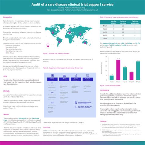 Image result for Audit Poster Presentation Examples