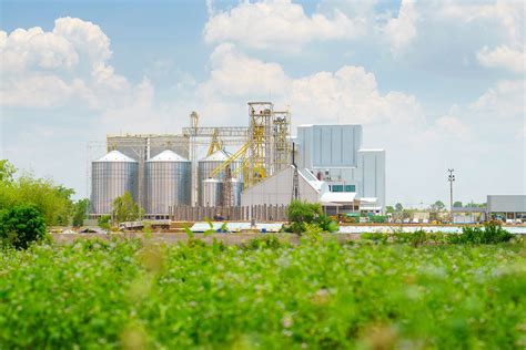 Image result for Food Production and Environment