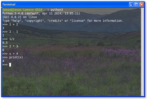 Image result for Interactive Shell Python