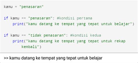 Image result for Fungsi Pada Python