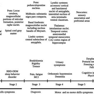 Image result for Sequence Diagram for Parkinson Disease