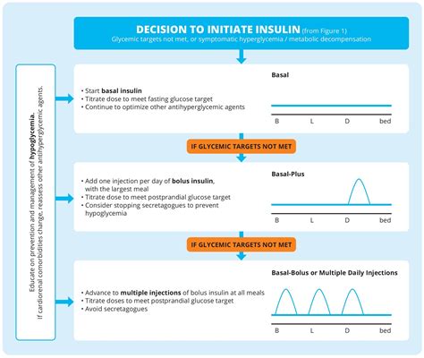 Image result for Type 2 Diabetic On Insulin Algorithm