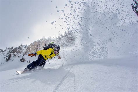 Image result for About Balance Brighton Logo